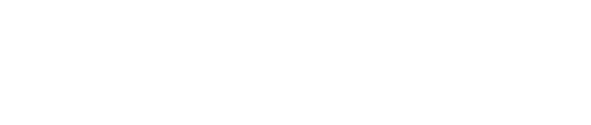 Shoe Gallery logo